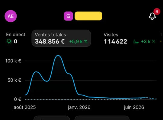 Tableau de bord Shopify — boutique tech